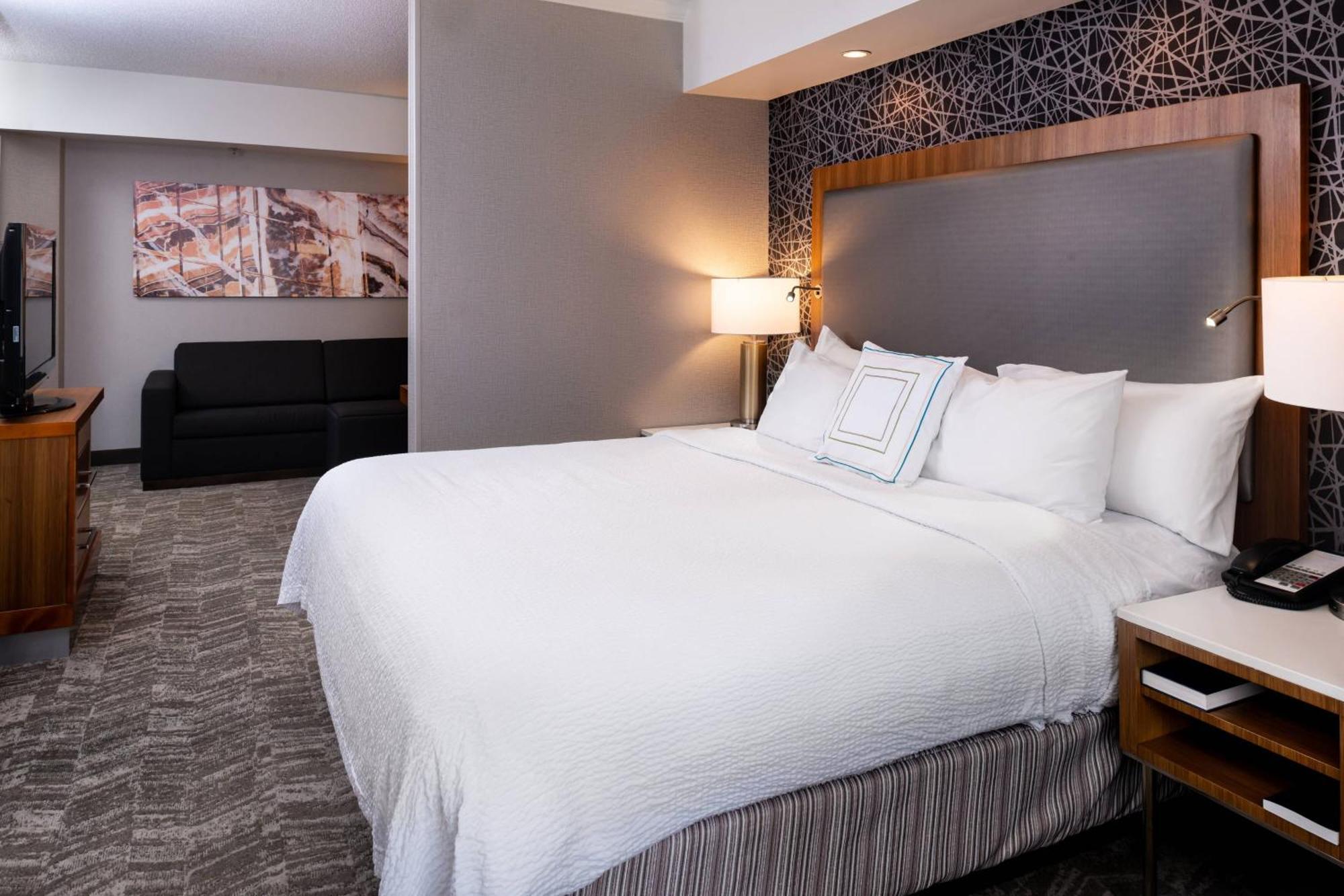 Springhill Suites By Marriott Pittsburgh North Shore Exterior photo